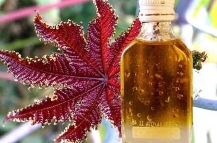 ��� ���������� ����� ������� � ����������� � �����������