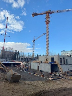 На месте цирка откроется бассейн