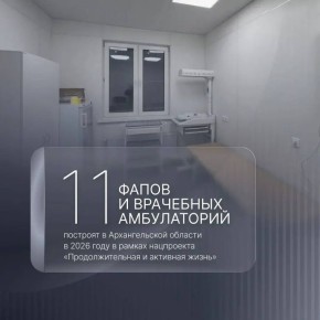 Александр Цыбульский: В 2026 году в Архангельской области появятся 11 новых фельдшерско-акушерских пунктов и врачебных амбулаторий