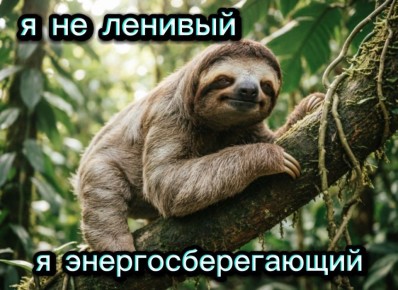 17% ������� ������������ ������� ���� ��������