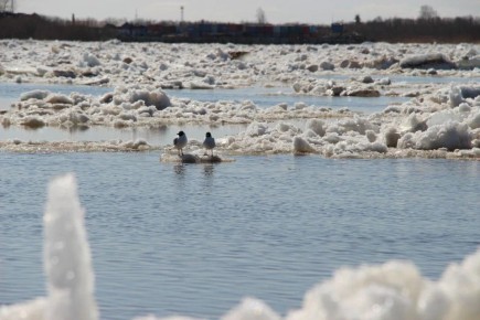 Прогноз гидрологической обстановки: ледоход идёт к Архангельску