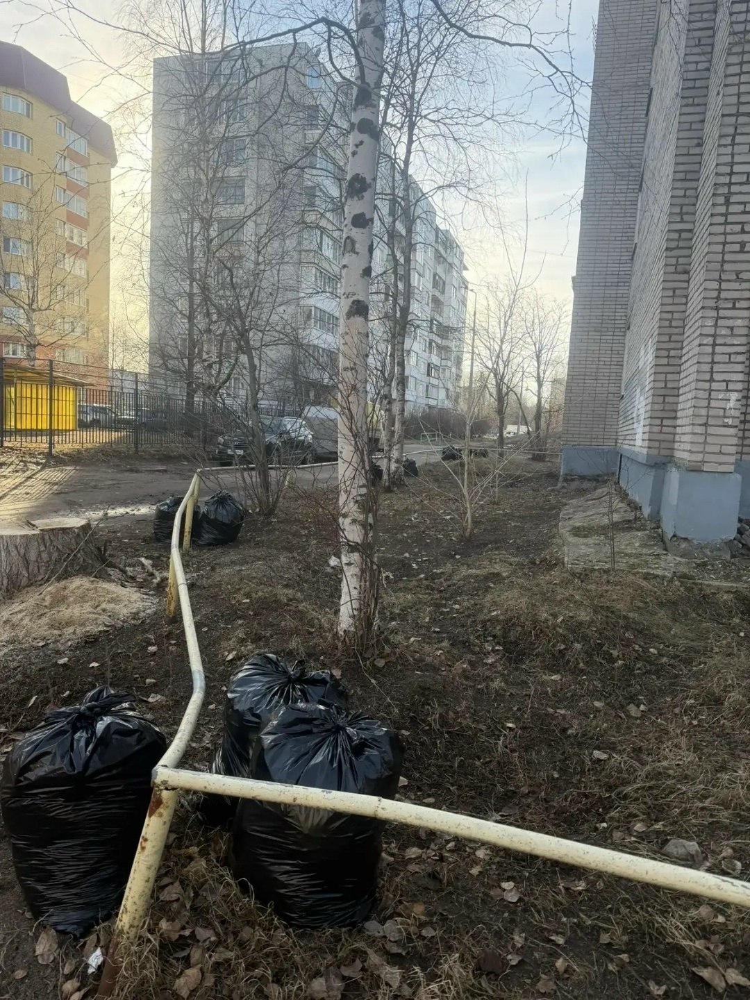 Управляющие компании и жильцы домов наводят порядок во дворах! Управляющие компании и жильцы домов наводят порядок во дворах!