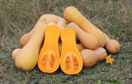 ��������� �����: ���� ������ ��� ����������� �� ������