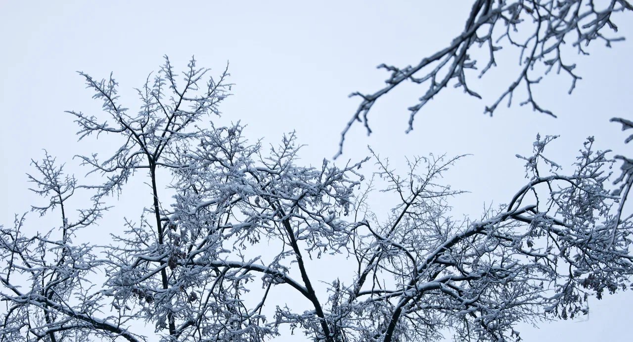 Архангельскую область идёт непогода