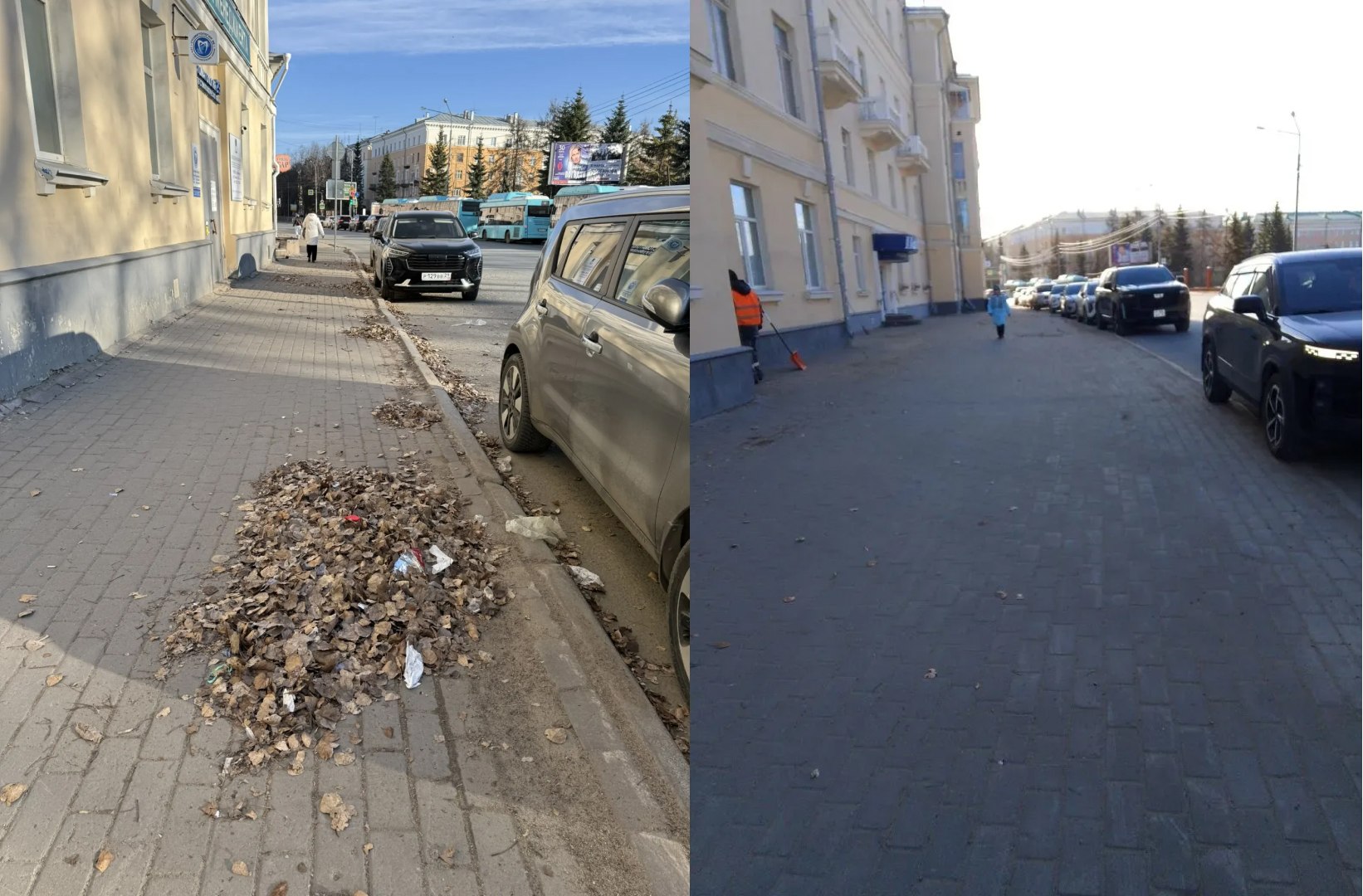 «Чистый город» ликвидировал последствия сильного ветра на Троицком проспекте