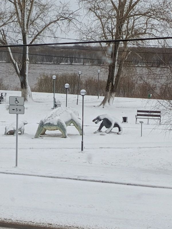 �� �� ������������� ������� ��������� ����