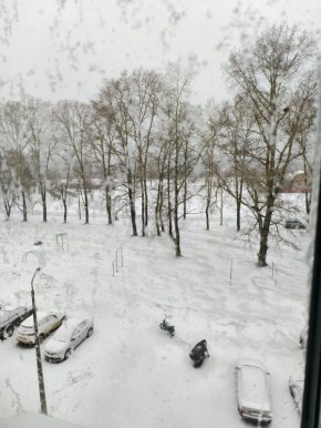 Апрель, а на юге Архангельской области настоящая зима