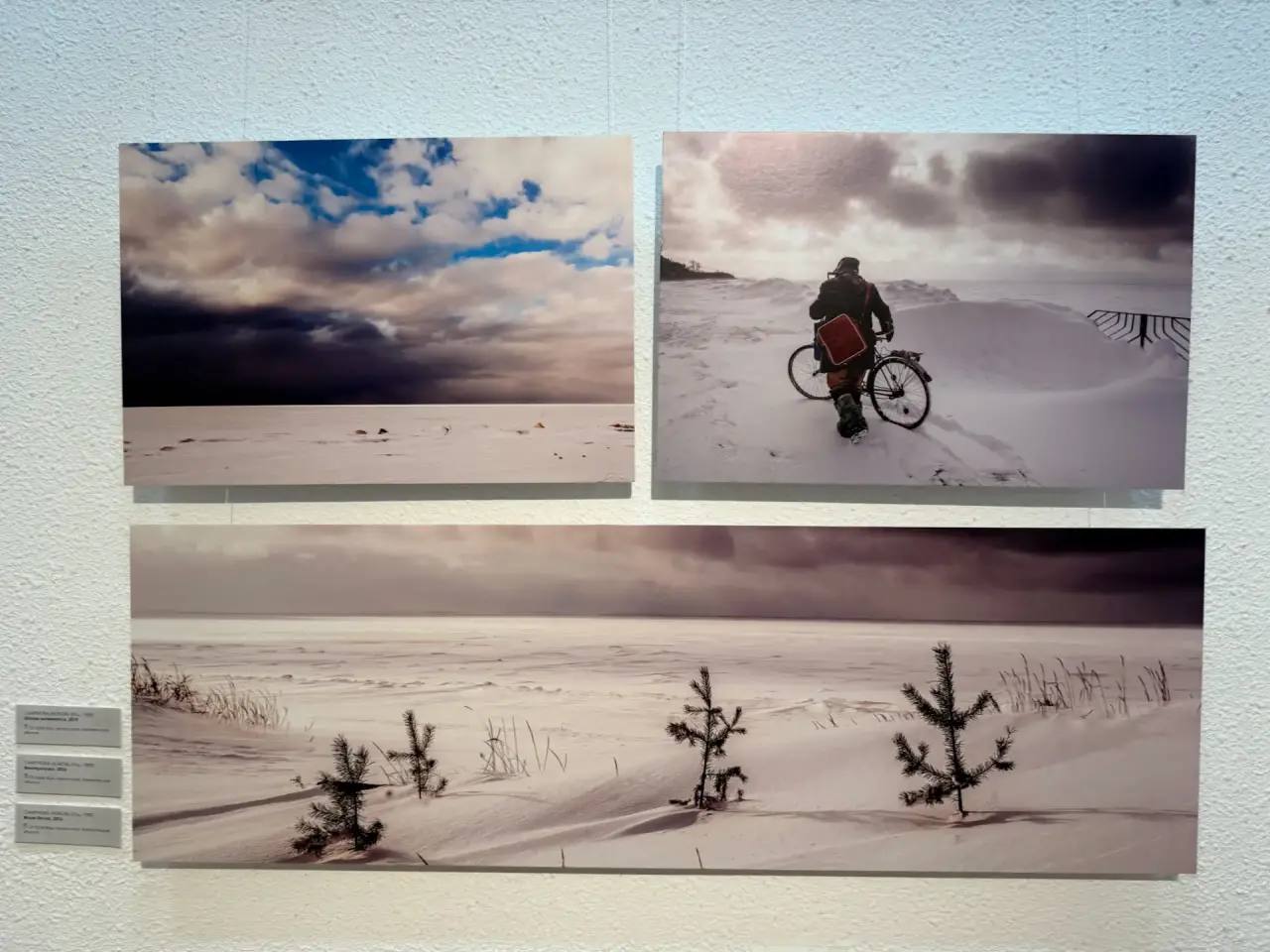 Александр Цыбульский: В Архангельске начал работу выставочный проект «С Севера мы», приуроченный к Году культуры Русского Севера, который в этом году объявлен в регионе Александр Цыбульский: В Архангельске начал работу выставочный проект «С Севера мы», приуроченный к Году культуры Русского Севера, который в этом году объявлен в регионе