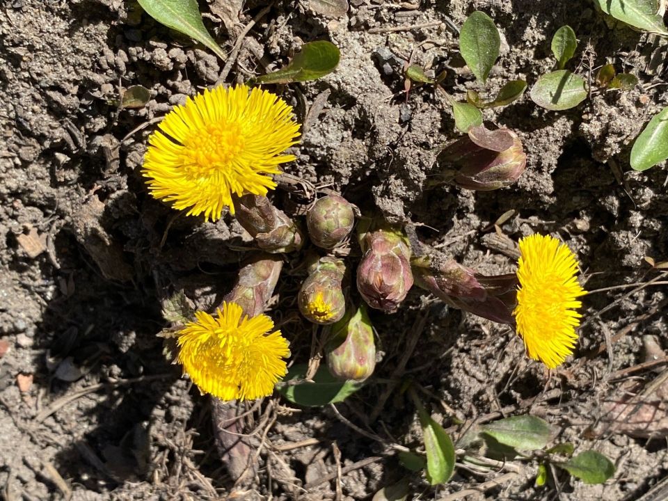 ������ ����.. � ������������ ��� �������� ����-�-������) ������������, ������ ��� ����� ������ ������ �����? ��� ������: