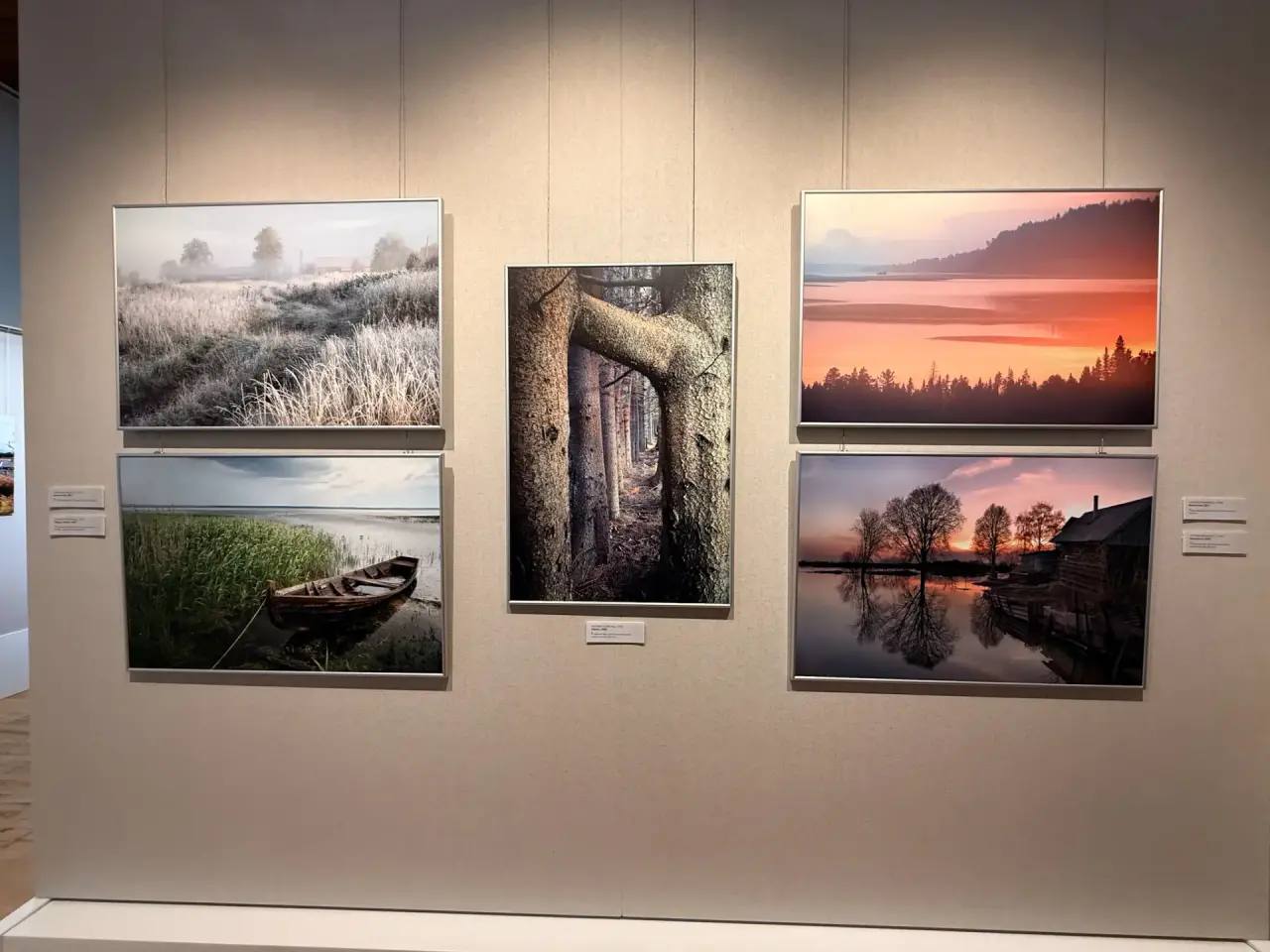 Александр Цыбульский: В Архангельске начал работу выставочный проект «С Севера мы», приуроченный к Году культуры Русского Севера, который в этом году объявлен в регионе Александр Цыбульский: В Архангельске начал работу выставочный проект «С Севера мы», приуроченный к Году культуры Русского Севера, который в этом году объявлен в регионе