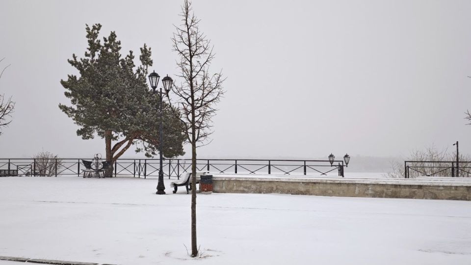 �� �� ������������� ������� ��������� ����