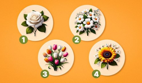 ��� ����� ����� �������� ���� ��������