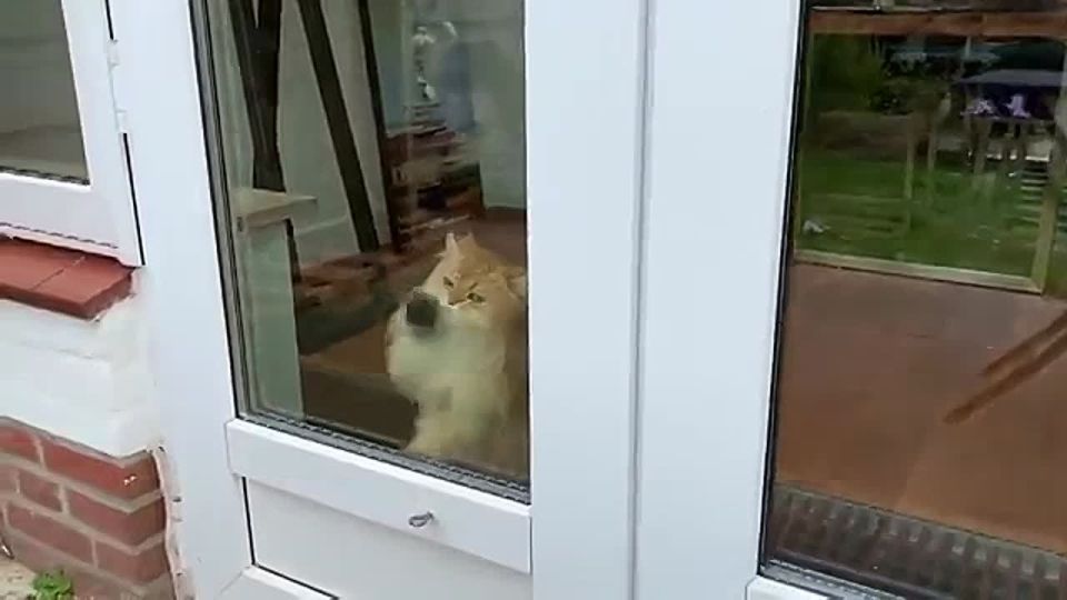 ������ �������: ����� ���� ��� �����!