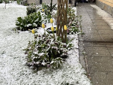 ��� �������� ��� �� �������� ����������: �������� ������