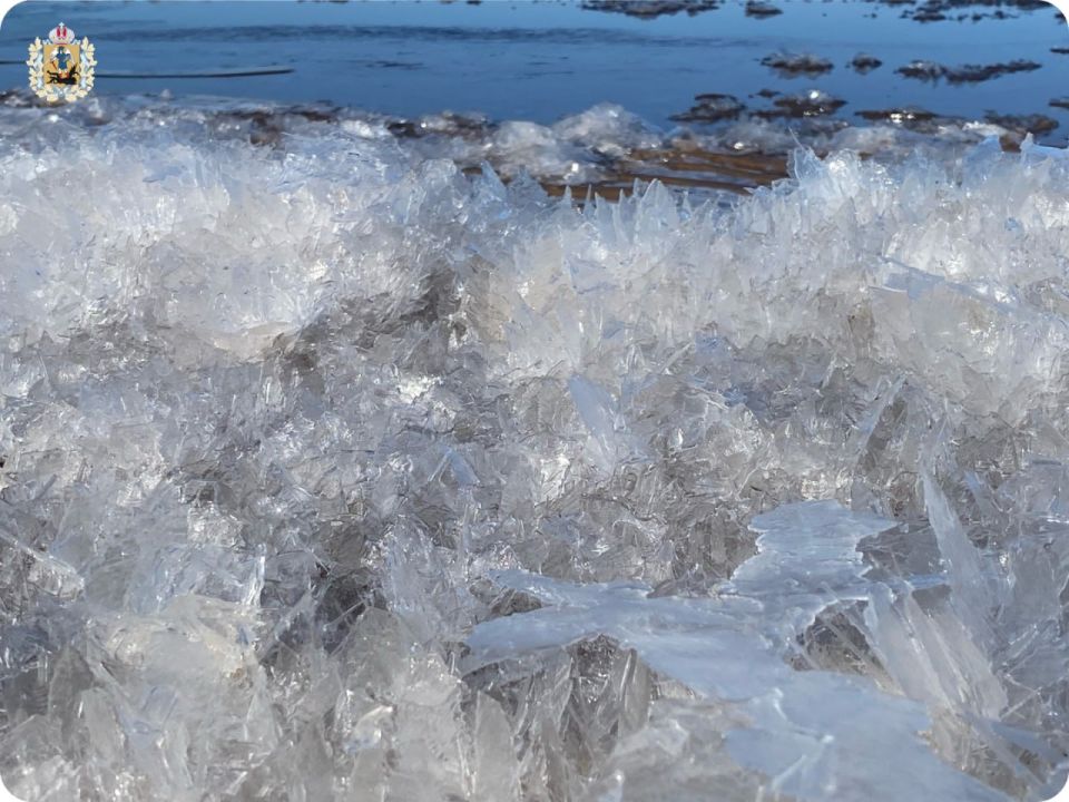 ������� ������ � �����������