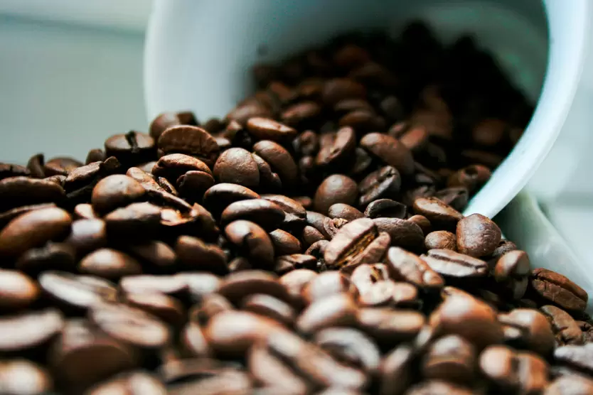 Кофейный кризис: как климатические изменения угрожают будущему чёрного напитка