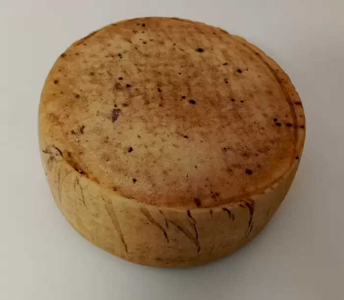 Пьяный козёл: сыр с необычным вкусом и ароматом от крафтовой сыродельни