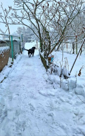 Как зима дарит вдохновение на кухне