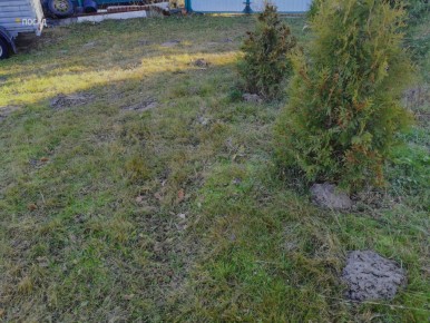 ��� �������� ������ �� ����: ����������� ������ � ������