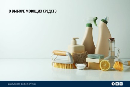 Как мы можем защитить уникальный Байкал от химического загрязнения