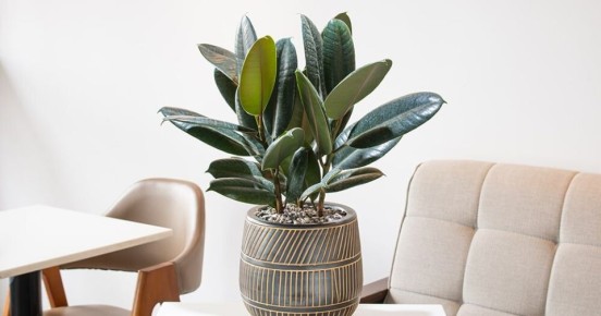 ������� ����� �� ������������� �������, ������� ������ ����� ������