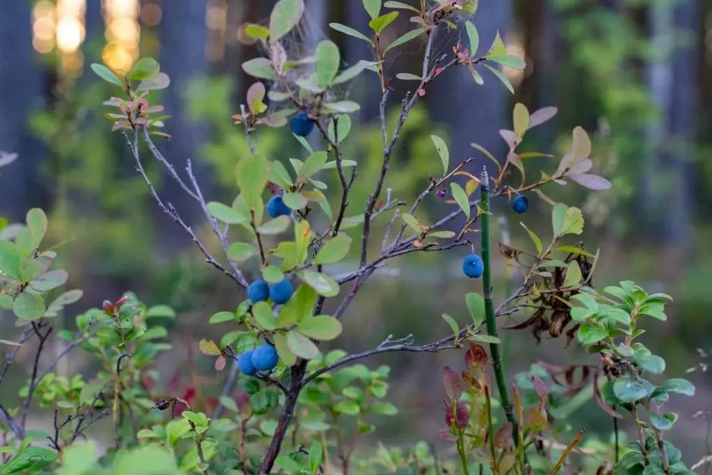 Александр Цыбульский: Природа оживает и готовится принимать туристов из разных уголков страны Александр Цыбульский: Природа оживает и готовится принимать туристов из разных уголков страны