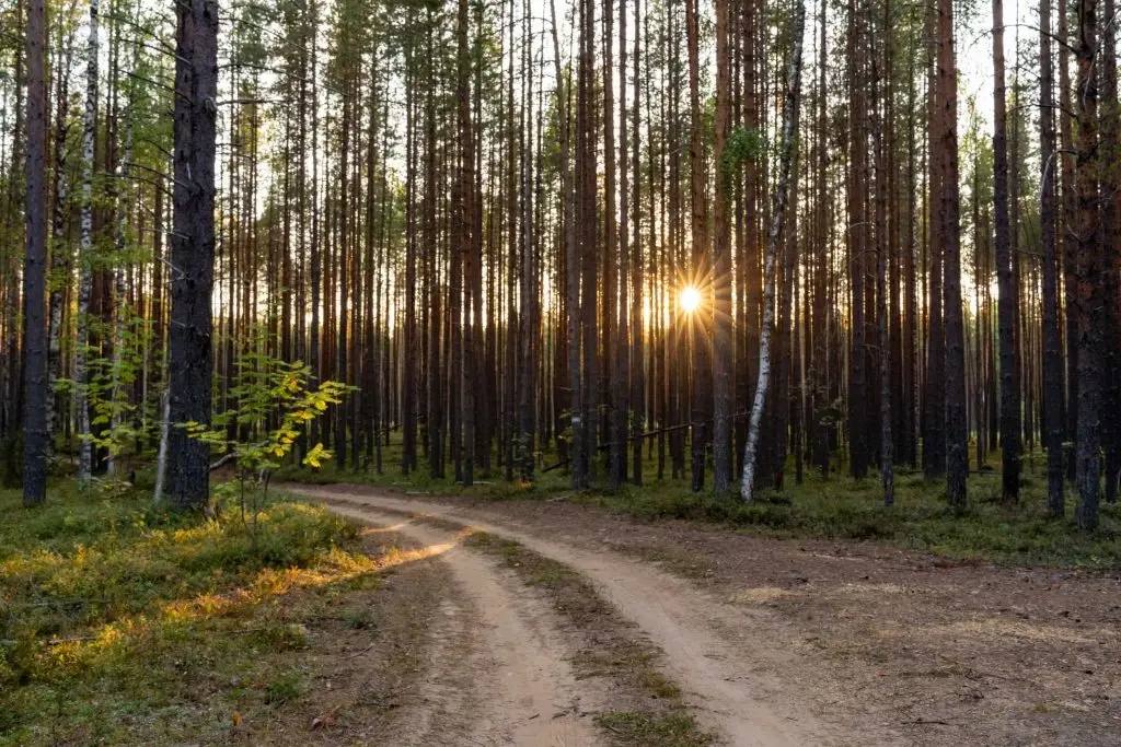 Александр Цыбульский: Природа оживает и готовится принимать туристов из разных уголков страны Александр Цыбульский: Природа оживает и готовится принимать туристов из разных уголков страны