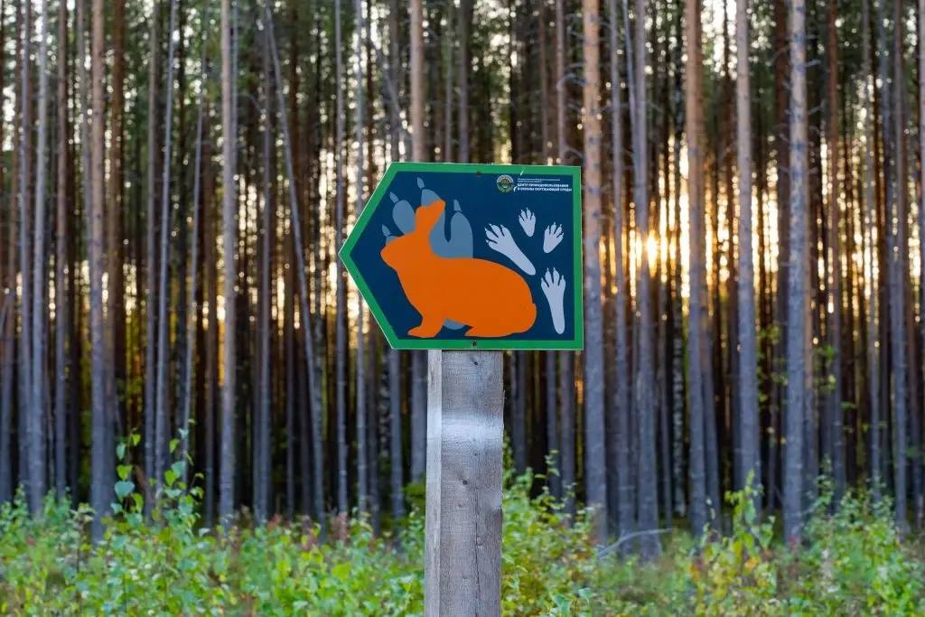 Александр Цыбульский: Природа оживает и готовится принимать туристов из разных уголков страны Александр Цыбульский: Природа оживает и готовится принимать туристов из разных уголков страны