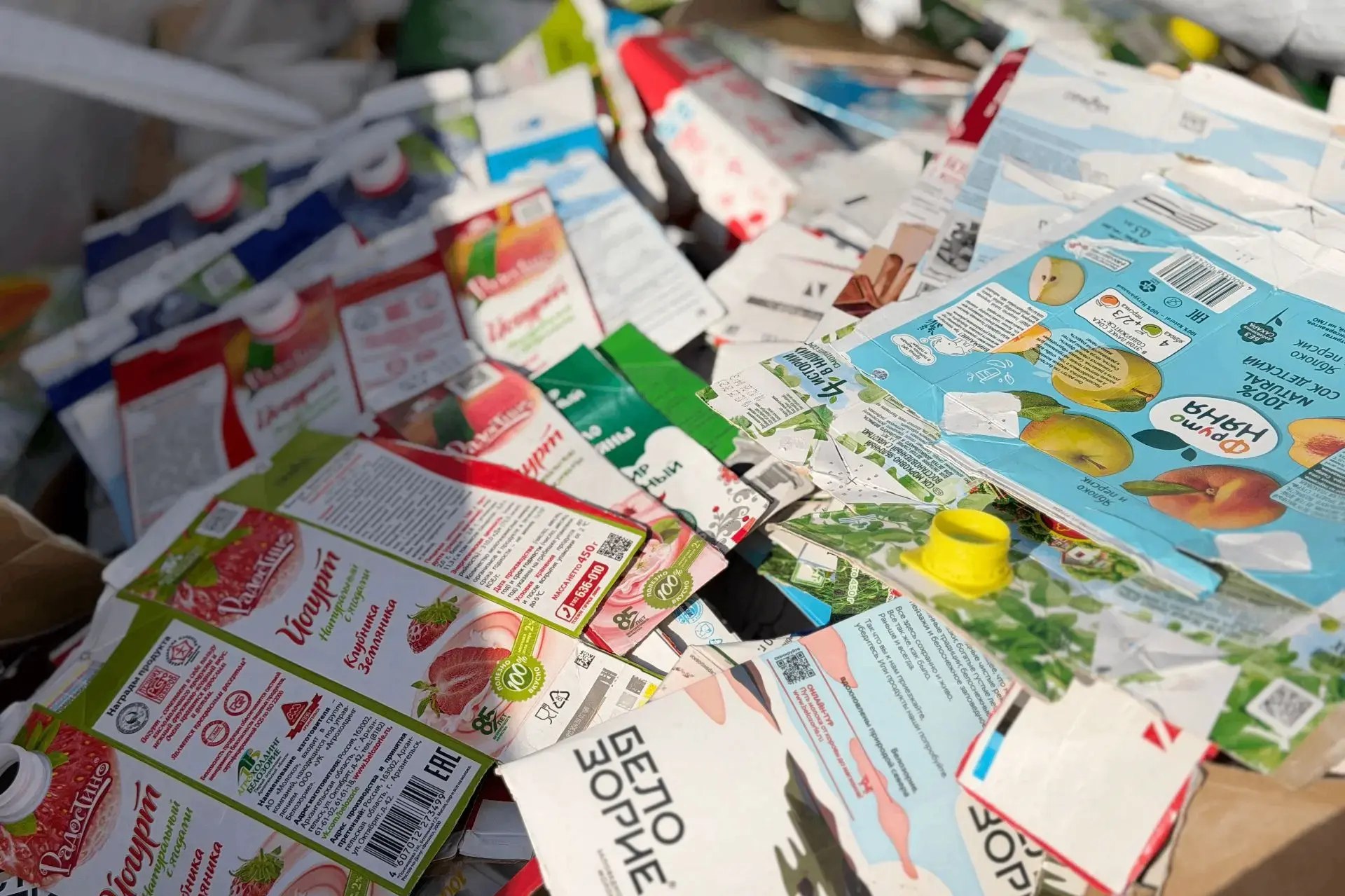 В Архангельске 240 горожан сдали 320 кг тетрапака на экологической акции В Архангельске 240 горожан сдали 320 кг тетрапака на экологической акции