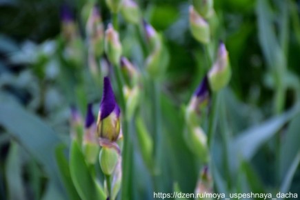 ����� � ����� ����: ��� ���������� ����� �������� � ������� ������� ���������