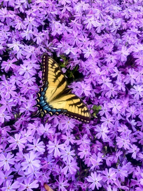 ������ � �������: ������ �� �� ��������� ������