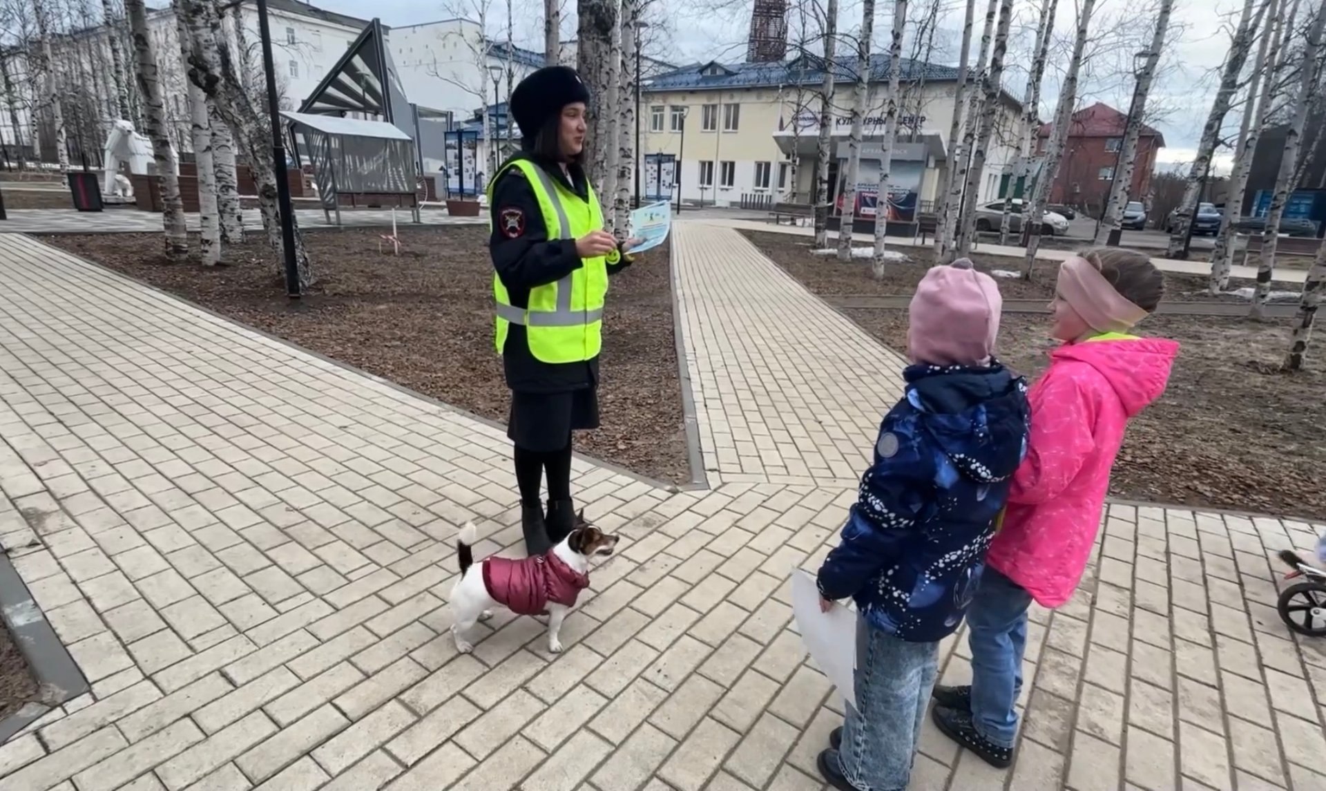 Ваш пёс — не просто друг. Он ещё и невидимый участник дорожного движения