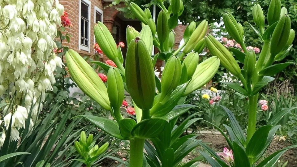 ���� �� �������: ������� ��������� � ������ � ����