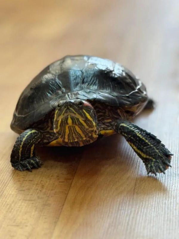 ���� � ���������������: � ������� ���� ��������� ��� 35 ��� ����� ��������� � ����������!