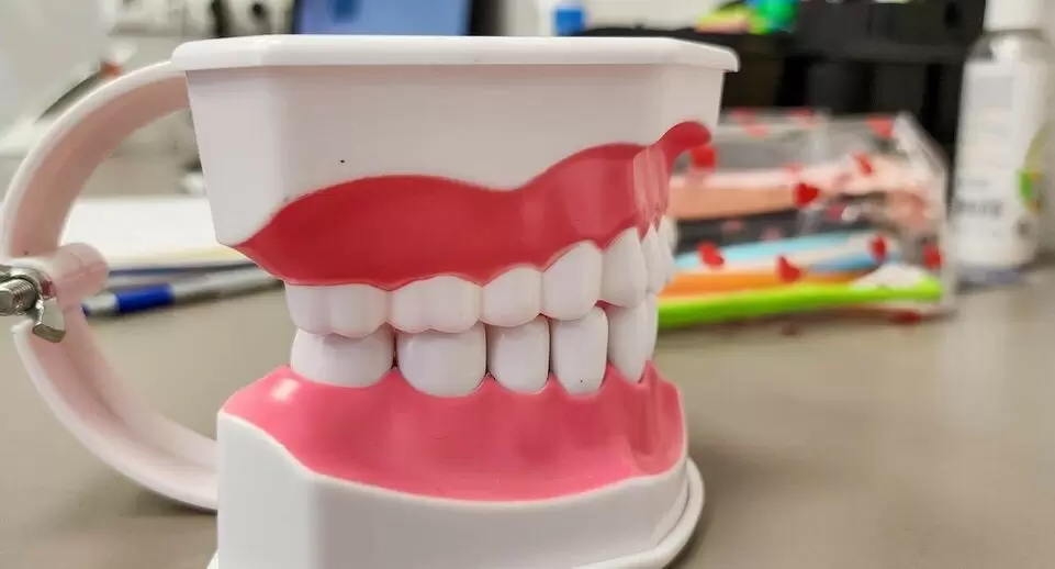 Рекомендации Роспотребнадзора: как выбрать идеальные средства для ухода за зубами