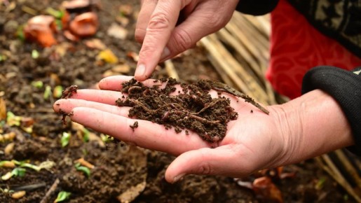 ��� ���������� �������� ������� � �������: ������� ������� ���������