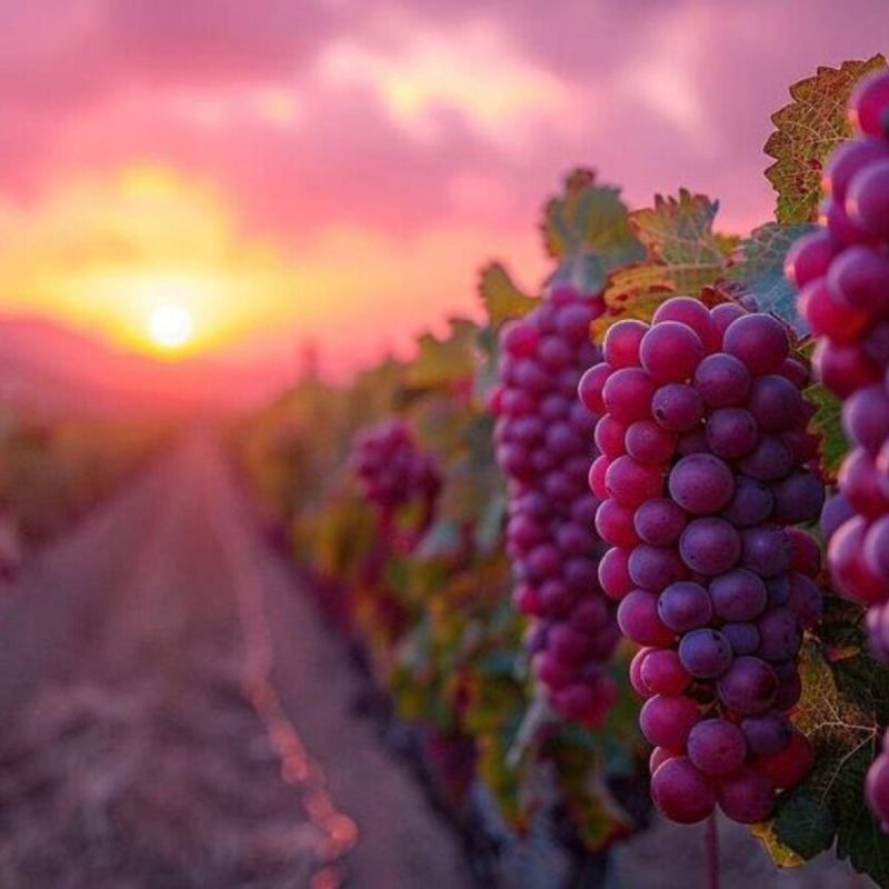 ��� ��������� ��������, ����� ������� ������� ������