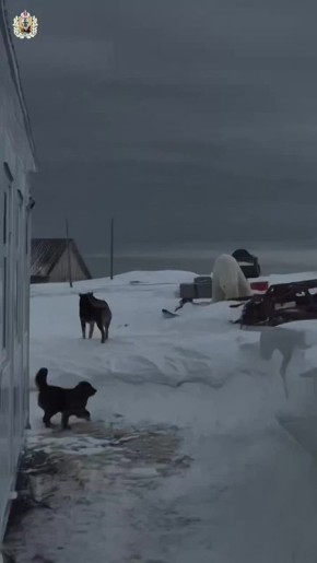 ��� �������� ������� ������� ���� ������������ �� �������� ������� ����� ��������� � ����� � ����� ������� ������ �������