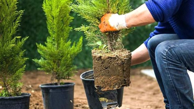 ������ �������� � ������ ����� ��� ������� �������