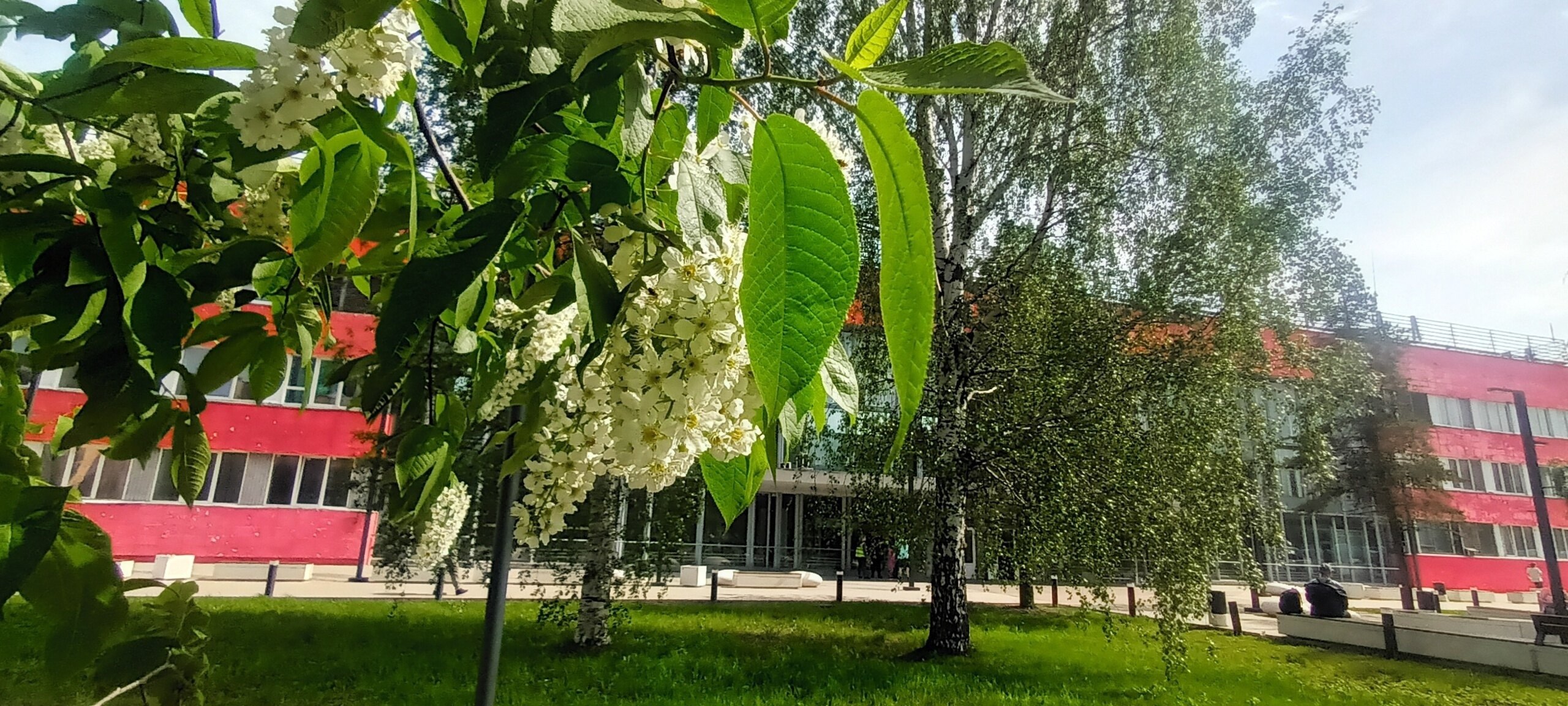 Назначены дополнительные пригородные поезда на олетний сезон