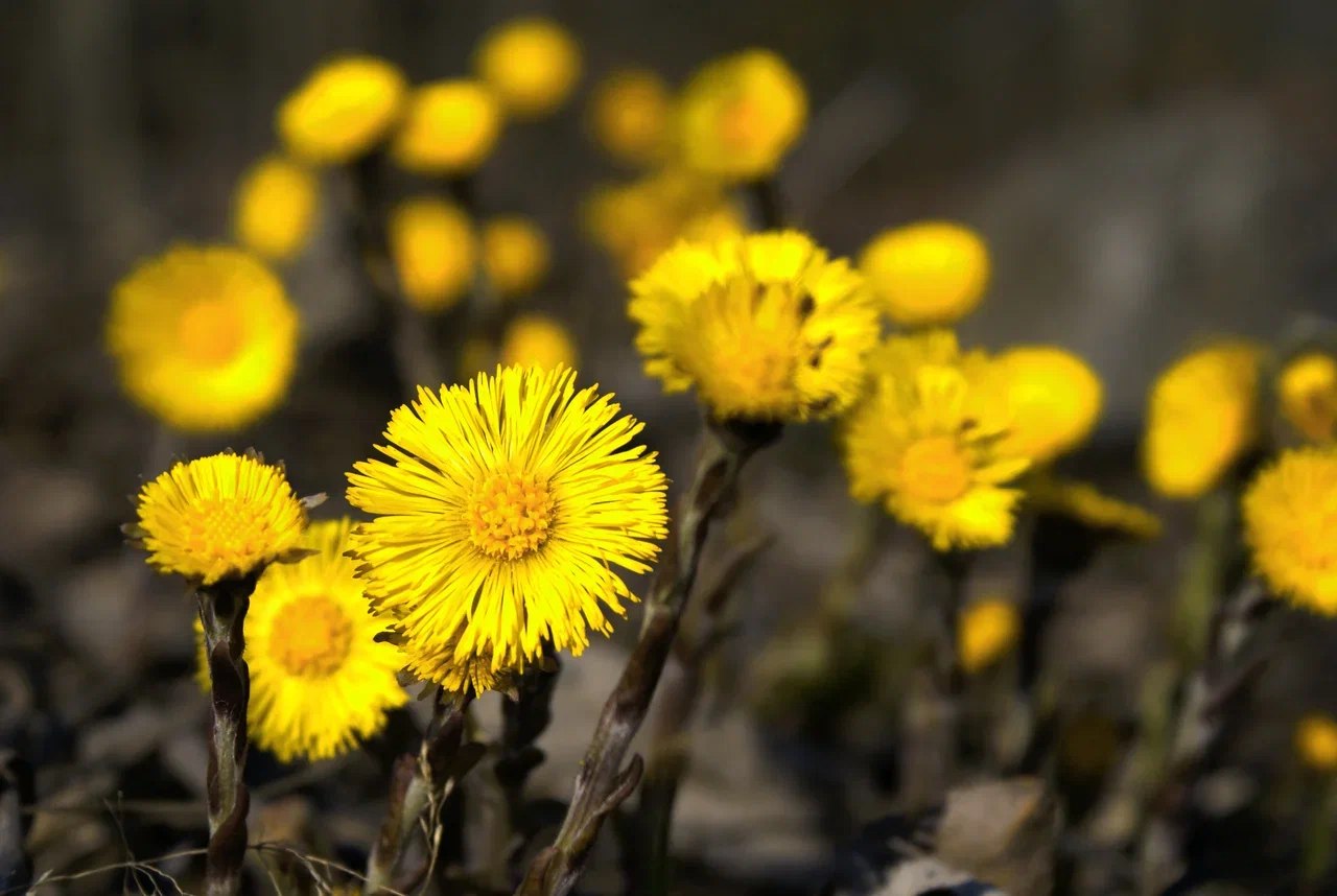 Доброе утро, регион!. Вторник, 14 апреля