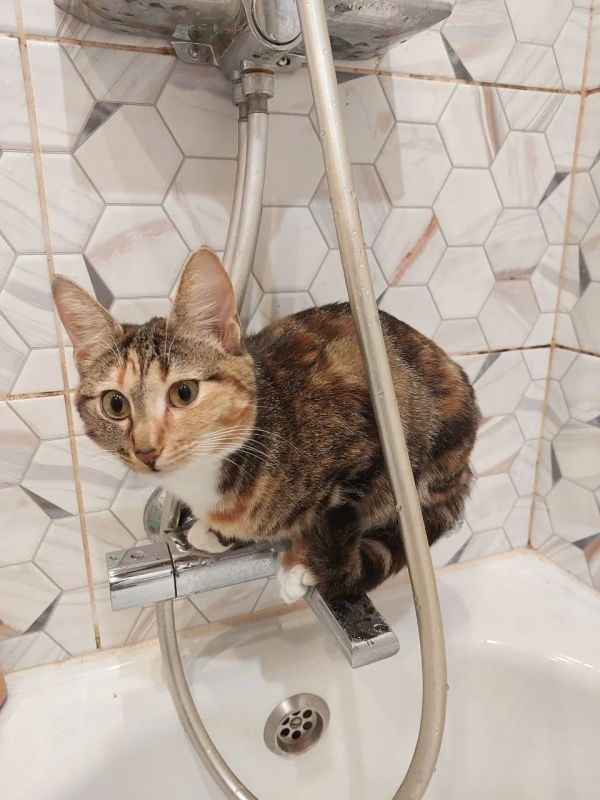 ��-�� ������ ������������� ��������� ���������� ��������� ������������ �� ����������� �������� ����������� �����������