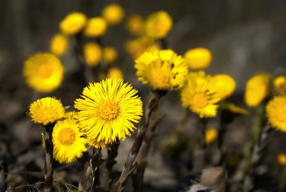 ������ ����, ������!. �������, 14 ������