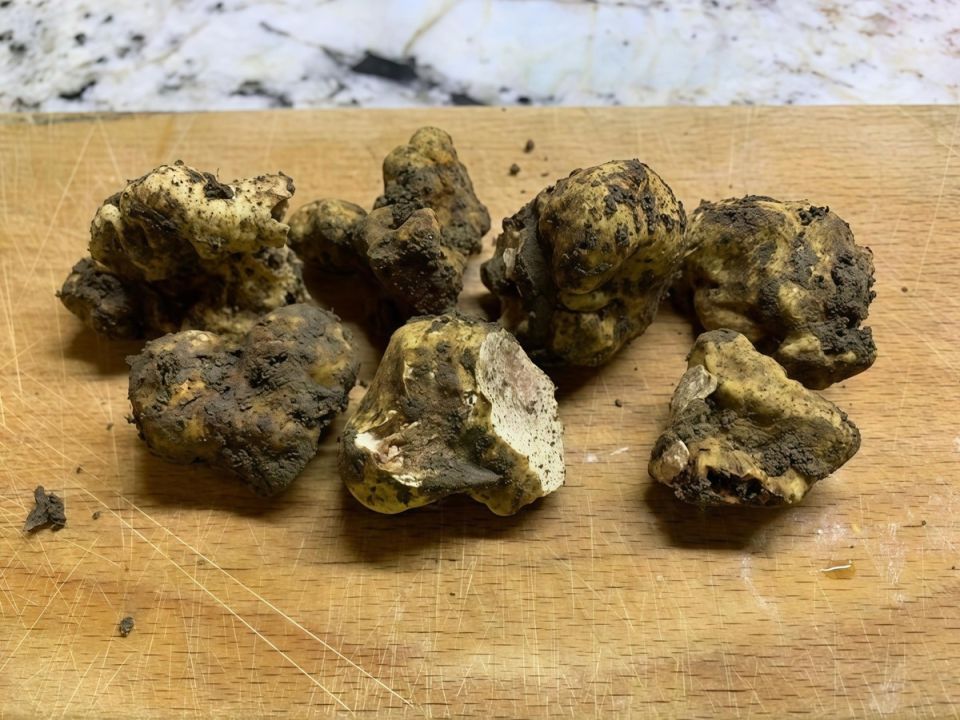 � ����������� ����� ������ ������ ����� ����������� �������