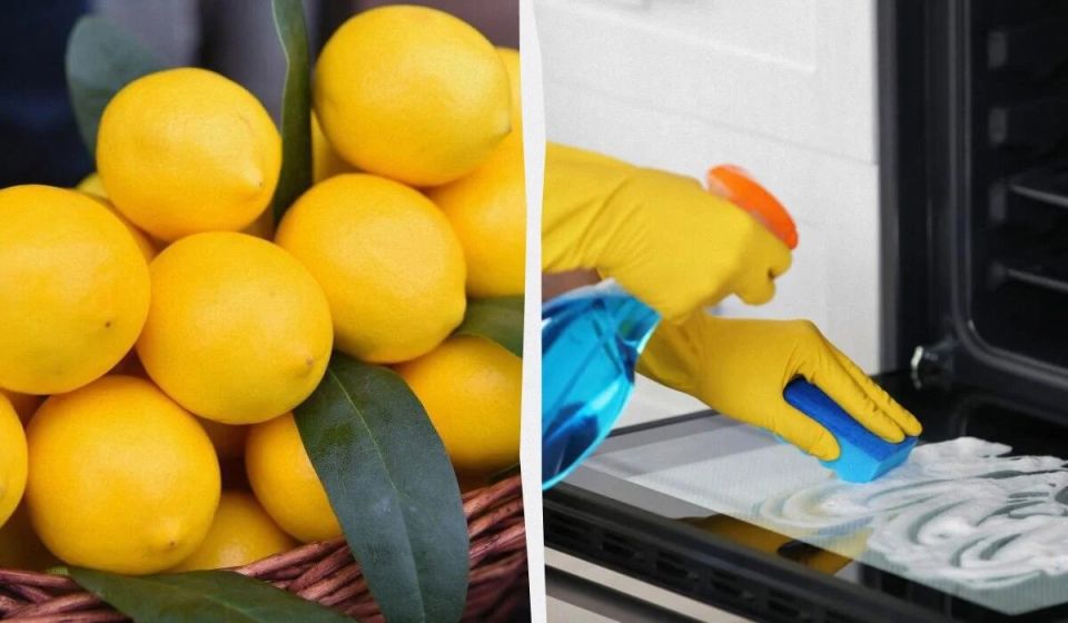 ������� ����������� ������: ��� ����� ������� ���������� � �������� � �������