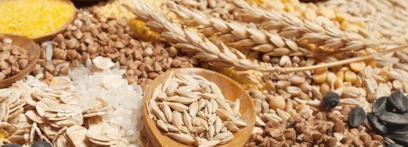 ������ �������� �� ����� �� ����������: ����������� ��� � "��������" ���������