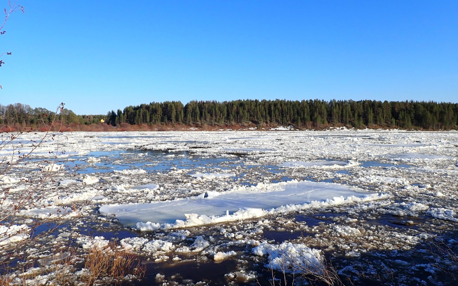 «Только в деревне можно пристально вглядеться в природу, научиться понимать её, увидеть по-настоящему зиму и лето, узнать все радости и трудности сельского житья-бытья…» «Только в деревне можно пристально вглядеться в природу, научиться понимать её, увидеть по-настоящему зиму и лето, узнать все радости и трудности сельского житья-бытья…»