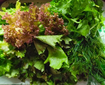 Лето в каждый укус: яркие рецепты для жарких дней