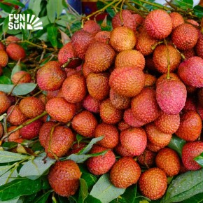 Маврикий: рай для любителей фруктов с ноября по март