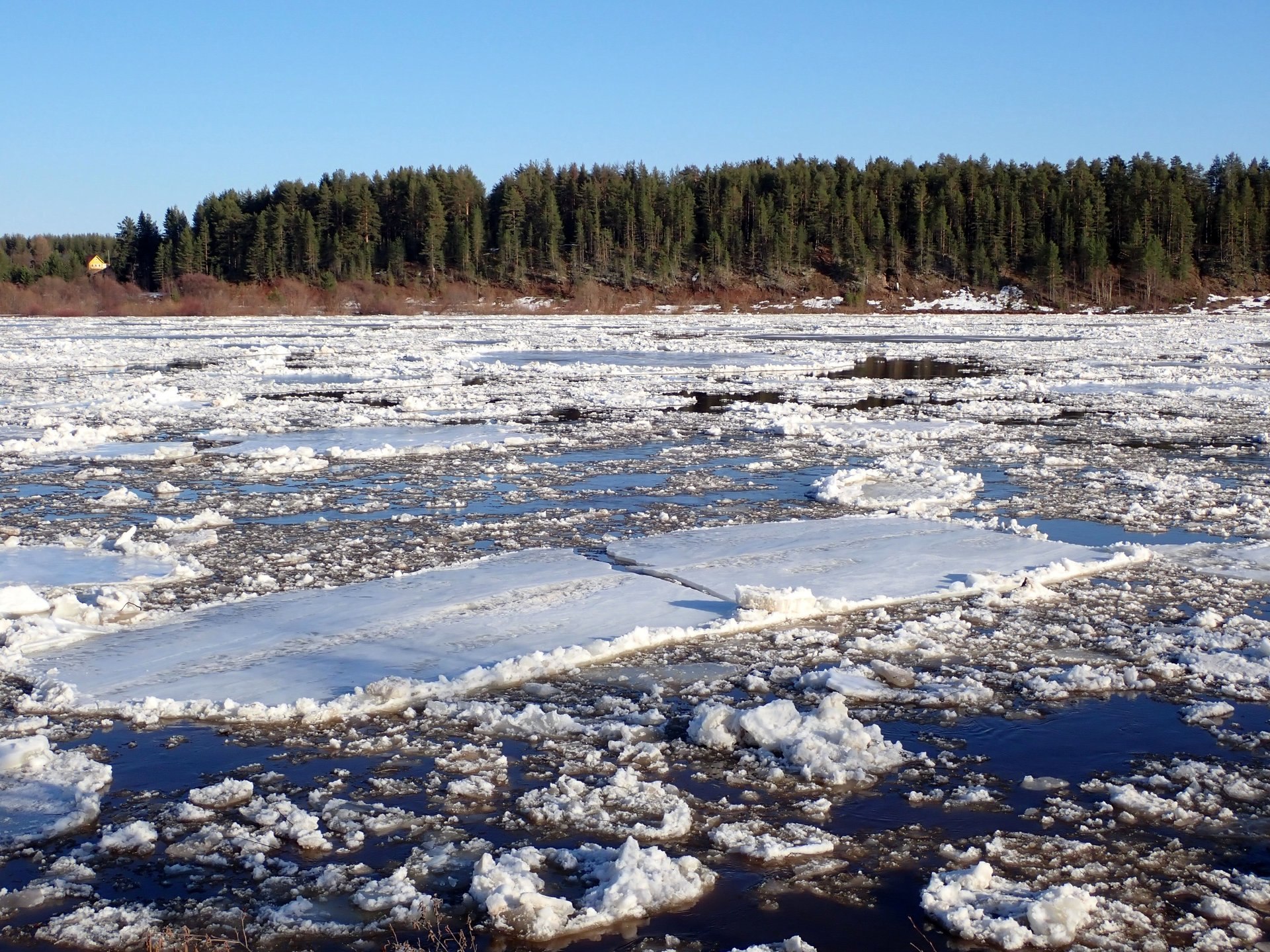 «Только в деревне можно пристально вглядеться в природу, научиться понимать её, увидеть по-настоящему зиму и лето, узнать все радости и трудности сельского житья-бытья…» «Только в деревне можно пристально вглядеться в природу, научиться понимать её, увидеть по-настоящему зиму и лето, узнать все радости и трудности сельского житья-бытья…»
